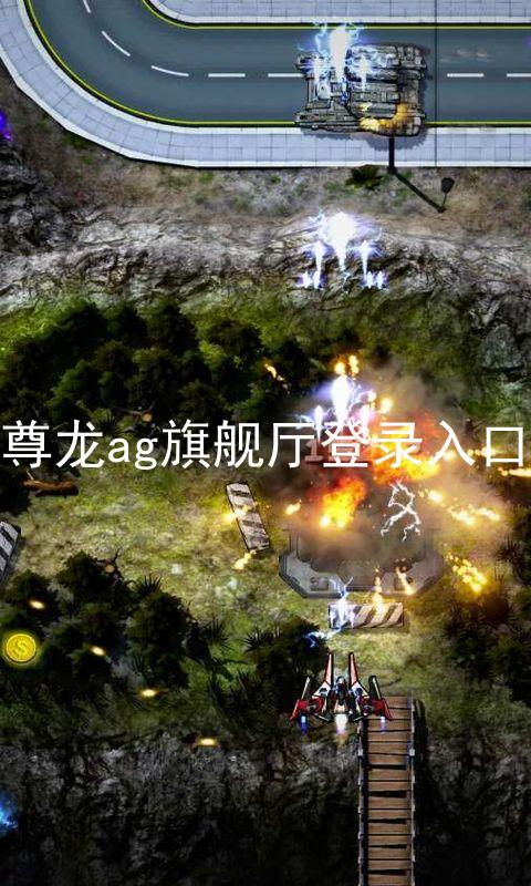 尊龙ag旗舰厅登录入口