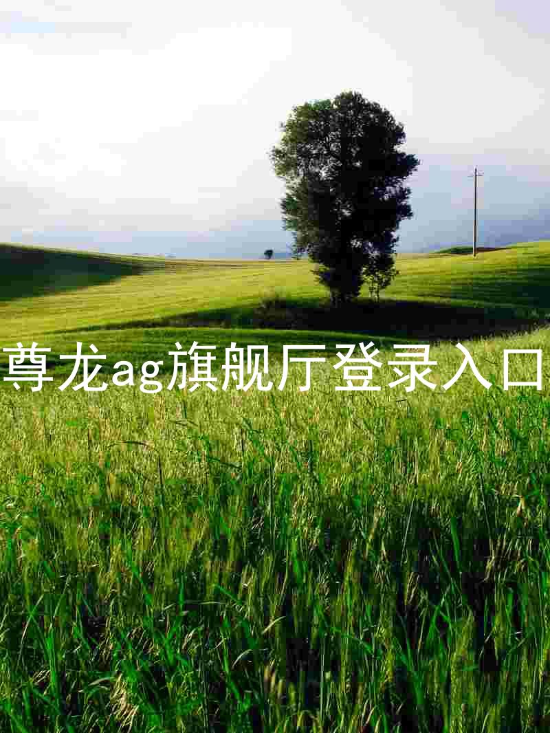 尊龙ag旗舰厅登录入口