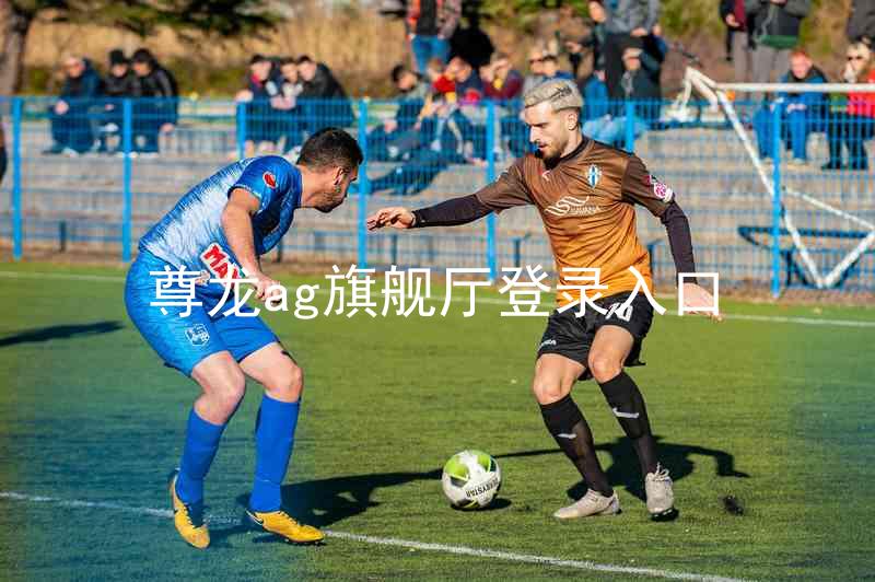 尊龙ag旗舰厅登录入口